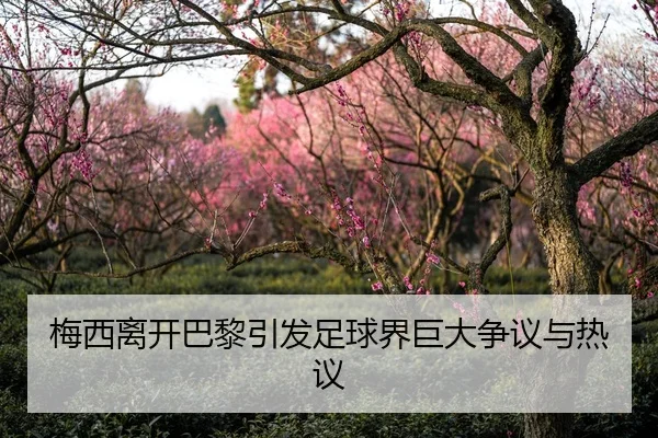 梅西离开巴黎引发足球界巨大争议与热议