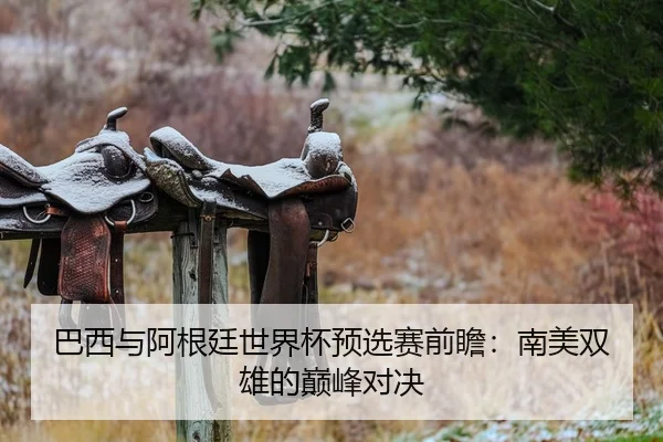 巴西与阿根廷世界杯预选赛前瞻：南美双雄的巅峰对决
